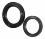 VP oil seal ring